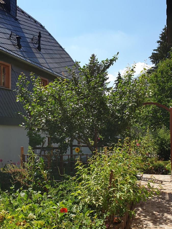 Oekologische Ferienwohnung Becker Kottmar Exteriér fotografie